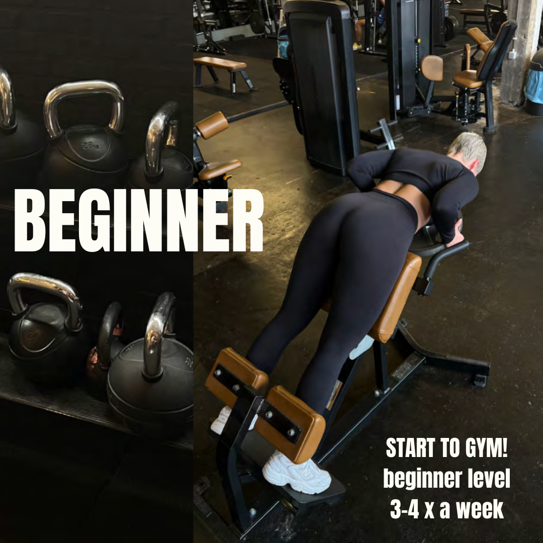 Start to gym (beginner level)